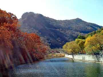 新澳天天开奖资料大全旅游团，导电银浆价格